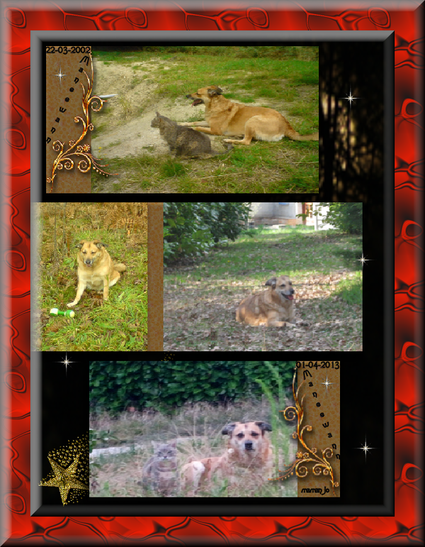 Tu es et resteras à jamais au fond de nos coeurs