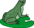 Image17_23.png