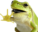 yyy.png